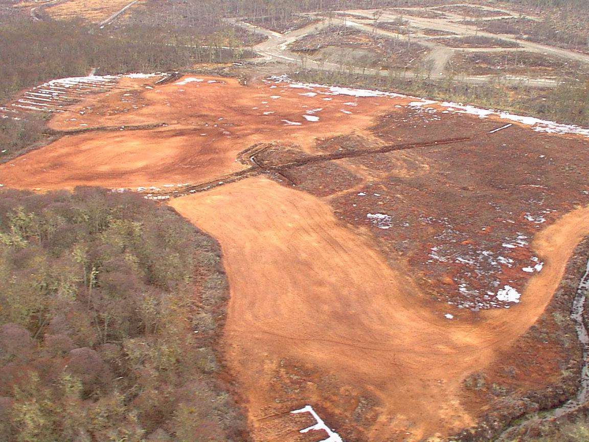 Vista aérea real de la turbera y su entorno de bosque